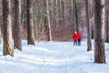 Two girls in red jackets walk on snowy road in beautiful winter forest on sunny day