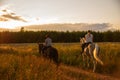 Two girls are riding horses on a dirt road against the background of sunset. Royalty Free Stock Photo