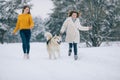 Two girls are running on a snowy forest road with a dog Alaskan Malamute Royalty Free Stock Photo