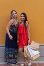 Two Girls shopping in the city with bags Royalty Free Stock Photo