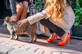 Two girls shopping and touching a cat along the city streets Royalty Free Stock Photo