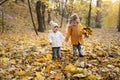 two girls sisters of preschool age walk on yellow maple fallen leaves in forest. Children on walk in autumn park collect Royalty Free Stock Photo