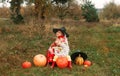 Two girls are sitting on a meadow,hugging and showing their tongue around a lot of large and small pumpkins. the theme of Royalty Free Stock Photo
