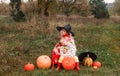 Two girls are sitting on a meadow,hugging and showing their tongue around a lot of large and small pumpkins. the theme of Royalty Free Stock Photo