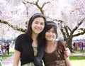 Two girls standing in front of large flowering cherry tree