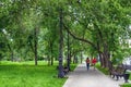 Two girls are walking in a green city park with empty benches, lampposts and lush deciduous trees. Summer. Day.