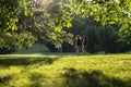 Two girls walking in the park