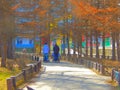 Two girls walking with their kids in a park Royalty Free Stock Photo