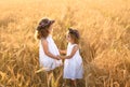 Two girls with wreaths of clover hold hands in a field of wheat at sunset. The friendship of two sisters. Royalty Free Stock Photo