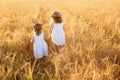 Two girls with wreaths of clover run hand in hand in a field of wheat. The friendship of two sisters. Royalty Free Stock Photo