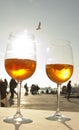 Two glases of Venetian drink and a seagull Royalty Free Stock Photo