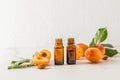 two glass bottles with an amber glass dropper with apricot seed essential oil for face and body skin care. relaxation Royalty Free Stock Photo