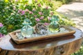 Two glass bottles with aromatic oils and sea shell on the wooden shelf Royalty Free Stock Photo