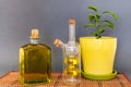 Two glass bottles olive oil stands near a flower against a dark background.