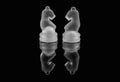 Two glass chess pieces on a reflective surface Royalty Free Stock Photo