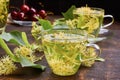 Two glass cup of linden tea with fresh flowers Royalty Free Stock Photo