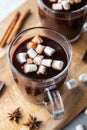 Two glass cups of hot chocolate with marshmallows and cinnamon sticks on wooden board and grey background. Winter food and drink. Royalty Free Stock Photo