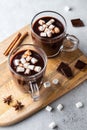 Two glass cups of hot chocolate with marshmallows and cinnamon sticks on wooden board and grey background. Winter drink. Royalty Free Stock Photo