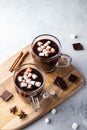 Two glass cups of hot chocolate with marshmallows and cinnamon sticks on wooden board and grey background. Winter drink. Royalty Free Stock Photo
