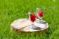 Two glass glasses with cherry inside stand on a wooden stand with a crack on the green lawn on a Sunny summer day