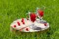 Two glass glasses with cherry inside and on a log, stand on a wooden stand with a crack on the green lawn