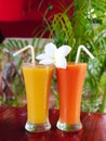 Two glass glasses with freshly squeezed juice and frangipani flower Royalty Free Stock Photo