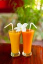 Two glass glasses with freshly squeezed juice and frangipani flower Royalty Free Stock Photo