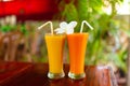 Two glass glasses with freshly squeezed juice and frangipani flower Royalty Free Stock Photo