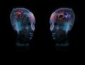 Glass Heads Intelligence Concept Royalty Free Stock Photo