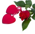 Two glass hearts with red rose Royalty Free Stock Photo