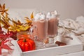 Two glass of hot creamy cocoa with froth on the white tray with autumn leaves and pumpkins on the background Royalty Free Stock Photo