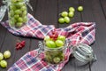 Two glass jars with green gooseberries on check napkin Royalty Free Stock Photo