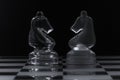 Two glass knight chess pieces facing each other Royalty Free Stock Photo