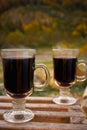 Two glass with mulled red wine on autumn forest background. Picnic with alcohol drinks. Vacations for two. Royalty Free Stock Photo