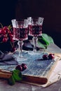 Two glass with a red alcoholic drink, old books and ripe cherry berries on a black background. Still life with red wine, ripe Royalty Free Stock Photo