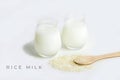 Two glass of vegatarian rice milk and rice grains on white background. Non dairy alternative milk. Concept of proper nutrition and Royalty Free Stock Photo