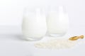 Two glass of vegatarian rice milk and rice grains on white background. Non dairy alternative milk. Concept of proper nutrition and Royalty Free Stock Photo