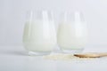 Two glass of vegatarian rice milk and rice grains on white background. Non dairy alternative milk. Concept of proper nutrition and Royalty Free Stock Photo