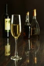 Two Glass of wine, brandy or cognac on the mirror wooden table Royalty Free Stock Photo