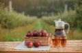 Two glasses with apple juice and basket with apples on wooden table with natural orchard background. Vegetarian fruit composition Royalty Free Stock Photo