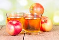 Two glasses of apple juice Royalty Free Stock Photo