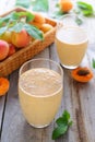 Two glasses of apricot smoothie and fresh apricots