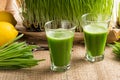 Two glasses of barley grass juice with freshly grown barley grass Royalty Free Stock Photo