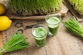 Two glasses of barley grass juice with freshly grown barley grass Royalty Free Stock Photo