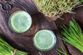 Two glasses of barley grass juice with freshly harvested blades, top view Royalty Free Stock Photo