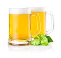 Two glasses of beer with Green hops Royalty Free Stock Photo