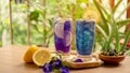 Two glasses of Blue and Violet Butterfly pea flower juice drinking, decoreted with yellow lemon sliced Royalty Free Stock Photo