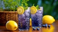 two glasses of blueberries and lemonade sitting on Royalty Free Stock Photo