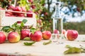 Apple brandy distillate with apples on garden table.