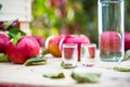 Apple brandy distillate with apples on garden table.